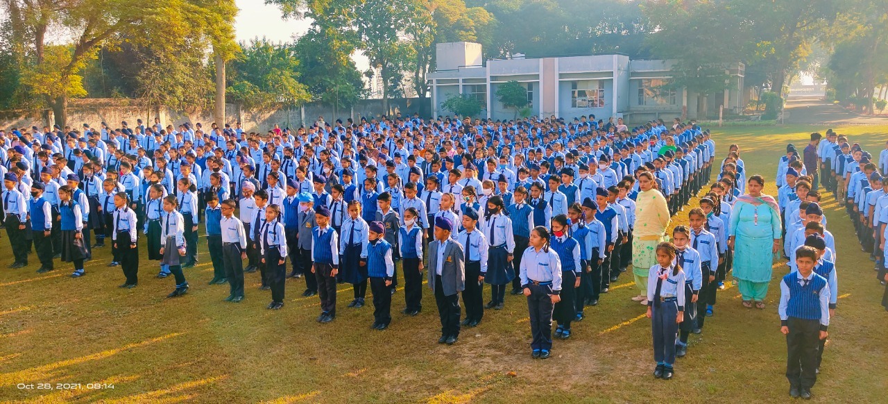 Premier Public School,Patialaoverview