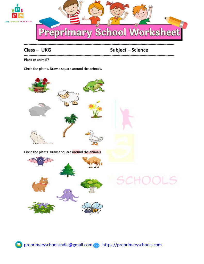 Identifying plants and animals UKG worksheet