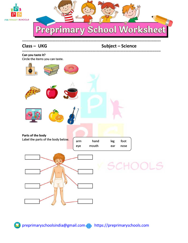 parts of body worksheet for ukg